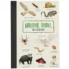 Rex London A5 Schrift Nature Trail -Janod Winkel 29974 1 nature trail a6 lined notebook 1