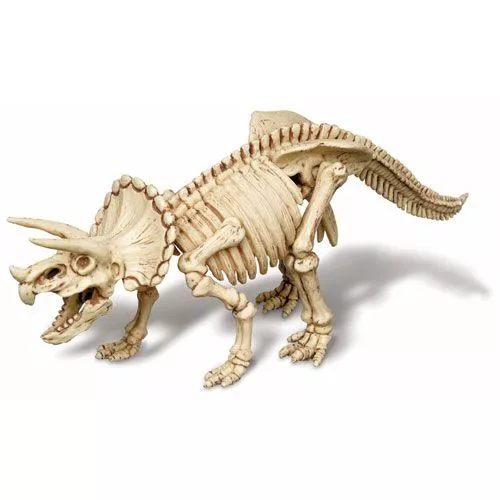4m Pakket Dinosaurus Graven - Triceratops 5 4m Pakket Dinosaurus Graven - Triceratops - Afbeelding 3