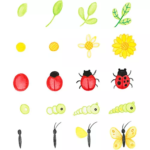 Creativ Company Ontdekkingskoffer Voor De Natuur 5 Creativ Company Ontdekkingskoffer Voor De Natuur - Afbeelding 3