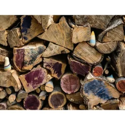 Grapat Speelfiguren Wow - 3st -Janod Winkel grapat speelfiguren wow 3st 7