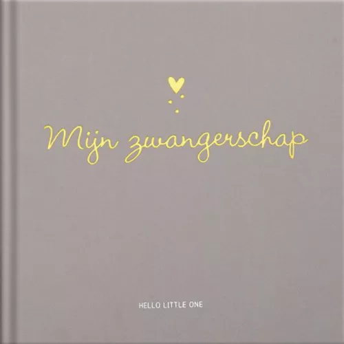 Image Books Invulboek Hello Little One - Mijn Zwangerschap