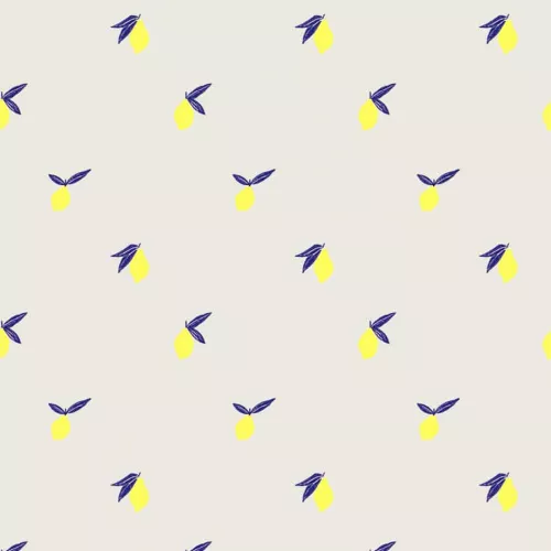 Minikane Poppen Opbergmand Citrons - 11 Cm 4 Minikane Poppen Opbergmand Citrons - 11 Cm - Afbeelding 2