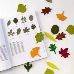 Moon Picnic Speelbladeren - 40st -Janod Winkel moon picnic woodland leaves 04