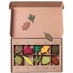 Moon Picnic Speelbladeren - 40st